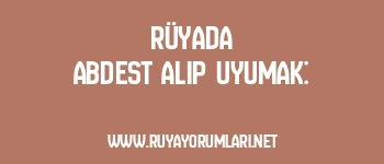 Rüyada Abdest Alıp Uyumak:
