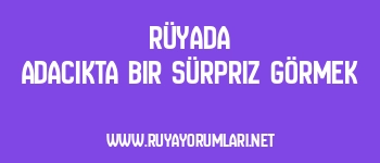 Rüyada Adacıkta Bir Sürpriz Görmek