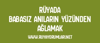 Rüyada Babasız Anıların Yüzünden Ağlamak