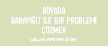 Rüyada Babayiğit ile Bir Problemi Çözmek