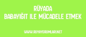 Rüyada Babayiğit ile Mücadele Etmek