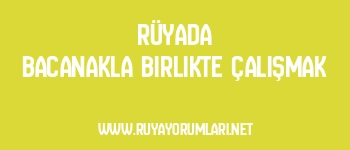 Rüyada Bacanakla Birlikte Çalışmak