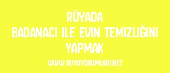 Rüyada Badanacı ile Evin Temizliğini Yapmak