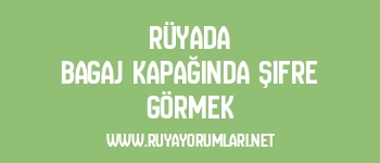 Rüyada Bagaj Kapağında Şifre Görmek