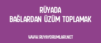 Rüyada Bağlardan Üzüm Toplamak