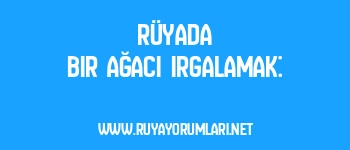 Rüyada Bir Ağacı Irgalamak: