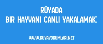 Rüyada Bir Hayvanı Canlı Yakalamak: