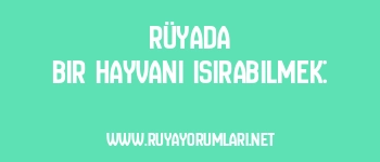 Rüyada Bir Hayvanı Isırabilmek: