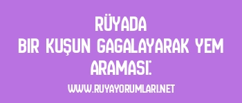 Rüyada Bir Kuşun Gagalayarak Yem Araması: