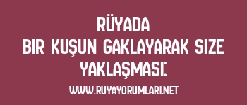 Rüyada Bir Kuşun Gaklayarak Size Yaklaşması:
