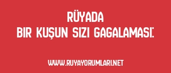 Rüyada Bir Kuşun Sizi Gagalaması: