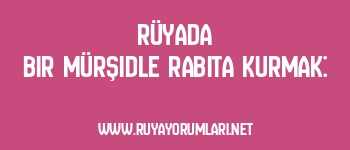 Rüyada Bir Mürşidle Rabıta Kurmak: