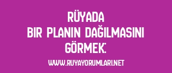 Rüyada Bir Planın Dağılmasını Görmek:
