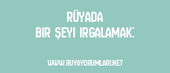 Rüyada Bir Şeyi Irgalamak: