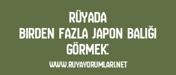 Rüyada Birden Fazla Japon Balığı Görmek: