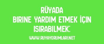 Rüyada Birine Yardım Etmek İçin Isırabilmek: