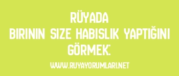 Rüyada Birinin Size Habislik Yaptığını Görmek: