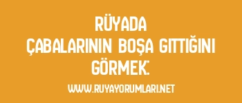 Rüyada Çabalarının Boşa Gittiğini Görmek: