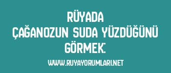 Rüyada Çağanozun Suda Yüzdüğünü Görmek: