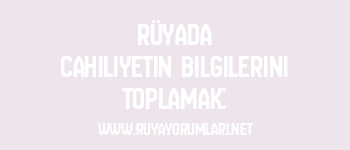 Rüyada Cahiliyetin Bilgilerini Toplamak: