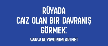 Rüyada Caiz Olan Bir Davranış Görmek: