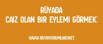 Rüyada Caiz Olan Bir Eylemi Görmek: