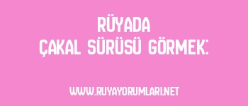 Rüyada Çakal Sürüsü Görmek:
