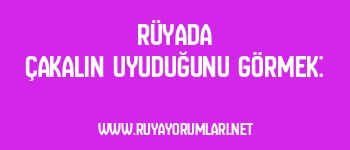 Rüyada Çakalın Uyuduğunu Görmek: