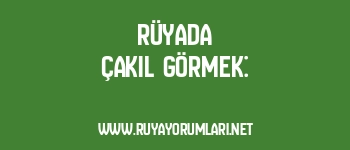 Rüyada Çakıl Görmek: