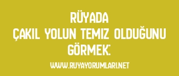 Rüyada Çakıl Yolun Temiz Olduğunu Görmek: