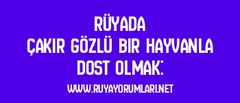 Rüyada Çakır Gözlü Bir Hayvanla Dost Olmak: