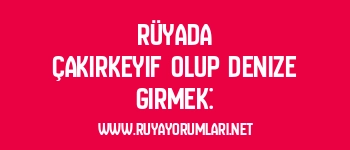 Rüyada Çakırkeyif Olup Denize Girmek:
