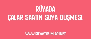 Rüyada Çalar Saatin Suya Düşmesi: