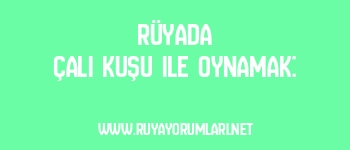 Rüyada Çalı Kuşu ile Oynamak: