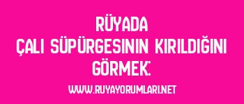 Rüyada Çalı Süpürgesinin Kırıldığını Görmek: