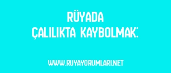 Rüyada Çalılıkta Kaybolmak:
