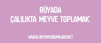 Rüyada Çalılıkta Meyve Toplamak: