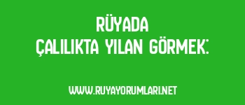 Rüyada Çalılıkta Yılan Görmek: