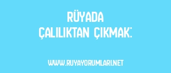 Rüyada Çalılıktan Çıkmak: