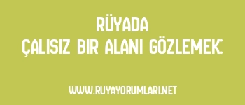 Rüyada Çalısız Bir Alanı Gözlemek: