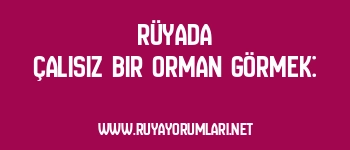 Rüyada Çalısız Bir Orman Görmek: