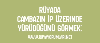 Rüyada Cambazın İp Üzerinde Yürüdüğünü Görmek: