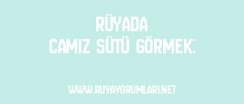 Rüyada Camız Sütü Görmek: