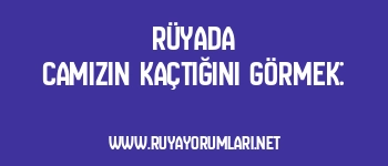 Rüyada Camızın Kaçtığını Görmek: