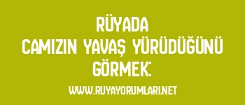 Rüyada Camızın Yavaş Yürüdüğünü Görmek: