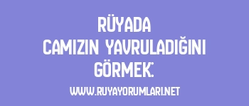 Rüyada Camızın Yavruladığını Görmek: