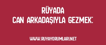 Rüyada Can Arkadaşıyla Gezmek: