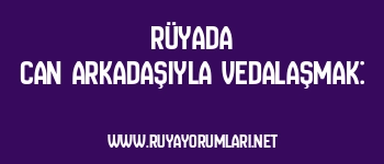 Rüyada Can Arkadaşıyla Vedalaşmak: