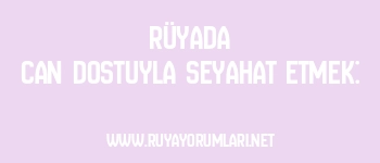 Rüyada Can Dostuyla Seyahat Etmek: