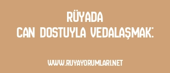 Rüyada Can Dostuyla Vedalaşmak: